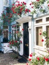 A covered on roses facade of the house