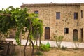 The facade of a rural stone farmhouse with wooden doors and windows in the italian countryside Tuscany, Italy Royalty Free Stock Photo