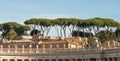 Facade of St. Peter\'s Basilica with Statues of saints in the Vatican, Rome, Italy