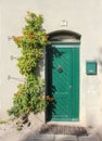 Facade with sweet old green door with lion doorknob and green mailbox, Near on the wall there is beautiful creeper