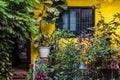 Facade of a yellow house in Arambol, North Goa, India