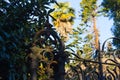 facades and building details of botanical garden at verbania ita Royalty Free Stock Photo