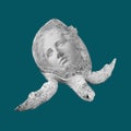 Face of ancient statue on a sea green turtle. Teal color background. Art, adventure, underwater archeology concept. Royalty Free Stock Photo