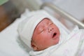 Face of baby infant sleep in the blanket Royalty Free Stock Photo