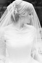 Face of a beautiful bride hidden veil Royalty Free Stock Photo