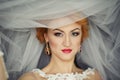 beautiful bride portrait with veil over her face, wearing professional make-up Royalty Free Stock Photo