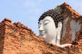 The face of the bhuda in the famous temple floats above the brick, the monk is standing