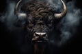 Face of a bison watching us with predator eyes in a full black decor and smoke Royalty Free Stock Photo