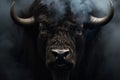 Face of a bison watching us with predator eyes in a full black decor and smoke Royalty Free Stock Photo