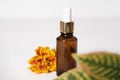 face care oil or serum in unbranded glass bottle with dropper. autumn decor, fall sale, anti age and cold protection