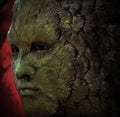 Face carved in tree Royalty Free Stock Photo