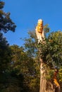 A face carved into a tree. Royalty Free Stock Photo