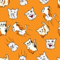 Seamless pattern funny cat cartoon pet, kitty, expression face kitten, silly face doodle, orange background