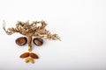 Face from chestnut almond cashew healthy food bio organic healthy people