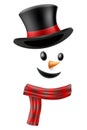 face of christmas winter snowman in hat with scarf vector illustration
