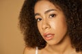 Face closeup of beautiful mixed race young woman with curly hair looking at camera while posing isolated over light Royalty Free Stock Photo