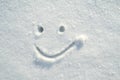 Face contented, cute smiley face drawn in the snow on a sunny winter day. Copy space.