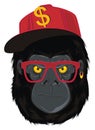 Face of cool black gorilla Royalty Free Stock Photo