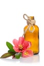 Face cream bottle with flowers Royalty Free Stock Photo