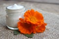 Face cream and calendula flower.Cosmetics. Royalty Free Stock Photo