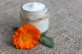Face cream and calendula flower.Cosmetics. Royalty Free Stock Photo