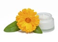 Face cream and fresh calendula flower Royalty Free Stock Photo