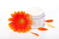 Face cream and gerbera flowers Royalty Free Stock Photo