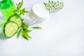 Face cream in a glass jar, slices of fresh cucumbers, green refreshing gel in a bottle on a white background. Fresh leaves and Royalty Free Stock Photo