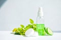 Face cream in a glass jar, slices of fresh cucumbers, green refreshing gel in a bottle on a white background. Fresh leaves. Spa Royalty Free Stock Photo