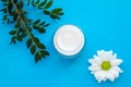 Face cream jar with white chamomile flower and green branch on a blue background. Herbal lotion in a glass container, natural Royalty Free Stock Photo