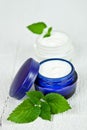 Face cream in jars with urtica leaves