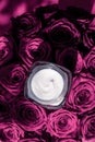 Face cream skin moisturizer on pink roses flowers, luxury skincare cosmetic product on floral background as beauty brand holiday Royalty Free Stock Photo