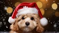 face of a cute christmas puppy dressed in santa hat in the snow