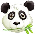 Face of cute panda eating bamboo leaves Royalty Free Stock Photo