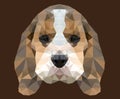 face dog polygon graphic illustration Royalty Free Stock Photo