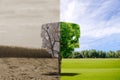 Face environment ecology concept change tree forest drought and forest refreshing the Royalty Free Stock Photo