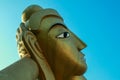 Face of the 100 feet tall statue of Gautama Buddha Royalty Free Stock Photo