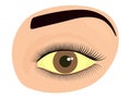 Face front_Hepatitis and yellow eye Royalty Free Stock Photo