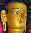 Face of gautam buddha Royalty Free Stock Photo