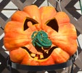 Face of Giant pumpkin is a gourd-like squash of the family Cucurbitaceae Royalty Free Stock Photo