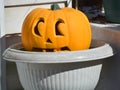 Face of Giant pumpkin is a gourd-like squash of the family Cucurbitaceae Royalty Free Stock Photo