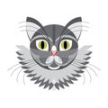 Face gray cat Royalty Free Stock Photo