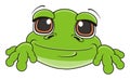 Face of happy frog