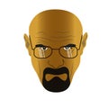 Face of heisenberg (Walter White) from Braking Bad serial Royalty Free Stock Photo