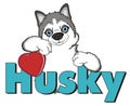 Face of husky with signs