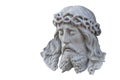 The face of Jesus Christ, the Son of God. A crown of thorns on his head Royalty Free Stock Photo