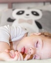 Face of a little girl sleeping with a panda, vertical portrait. Baby girl boy Caucasian daytime sleep Royalty Free Stock Photo