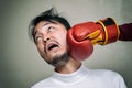 Face man getting punch in face with boxing glove against g Royalty Free Stock Photo