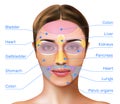 Face Mapping Infographics