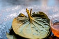 Face mask for controlling oiliness consisting of betel leaves, honey, sea-salt on a black wooden surface. Royalty Free Stock Photo